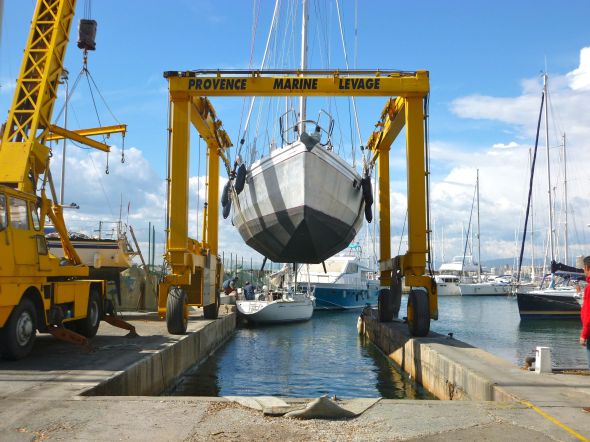 Ayfer på väg i sjön efter drygt fem månader på land