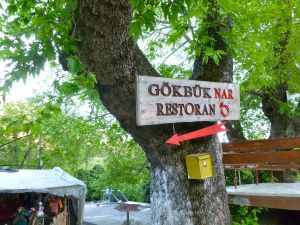 Paus i Alevibyn Gökbuk