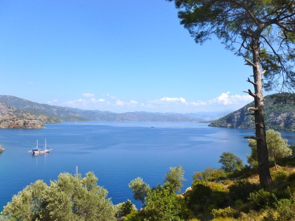 Utsikt över Seagull Bay