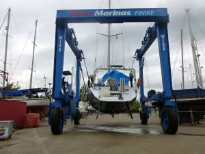 Ayfer på väg till vinterplats