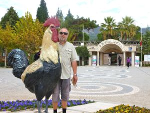 Det är svårt att mäta sig med en tupp