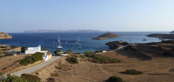 Lipsi ankarvikar.jpg